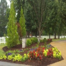 Landscaping in Conway, AR