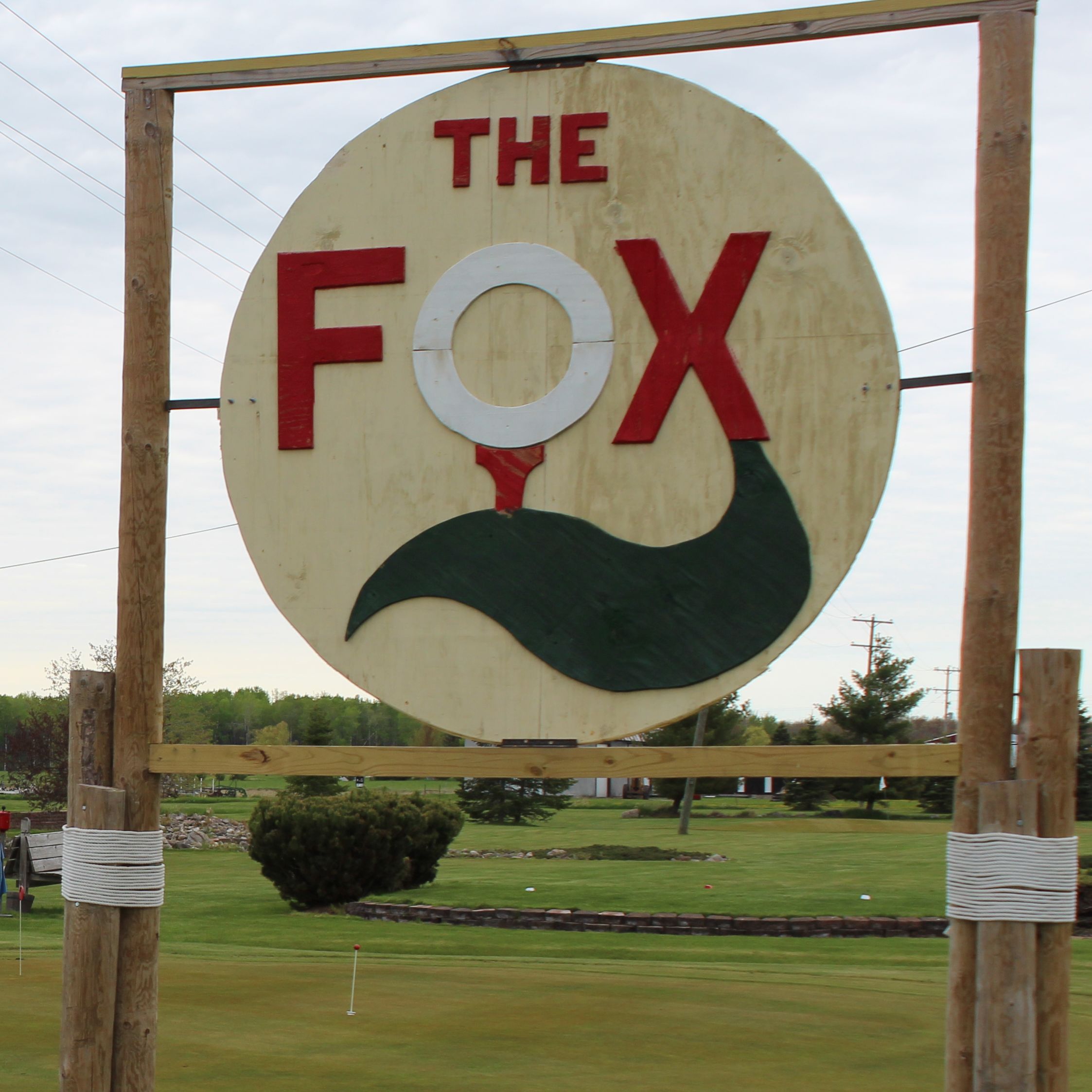 The Fox Photo