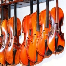 Global Violins Photo