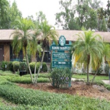 Madrone Therapy Clinic Photo