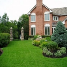 All Pro Lawn & Landscaping Photo