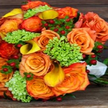 Occasion Florist in Houston, Texas