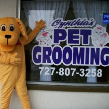 Dog Grooming in Holiday, Florida