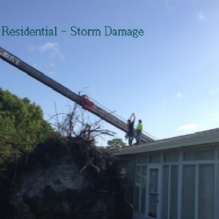 Stump Removal in Cocoa, Florida