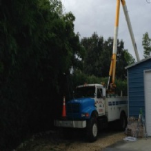 Commercial Tree Services in Cocoa, Florida