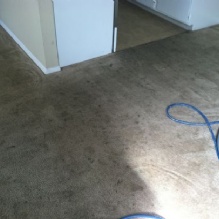 Tile Cleaning in Mabelvale, Arkansas
