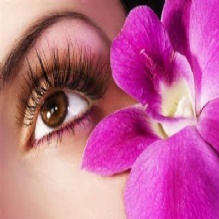 Eye Brow Waxing in Lutherville-Timonium, Maryland