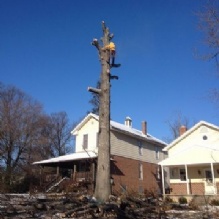 Stump Removal in Glenelg, Maryland