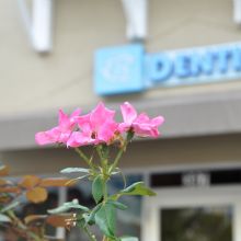 Cosmetic Dentistry in Clermont, Florida