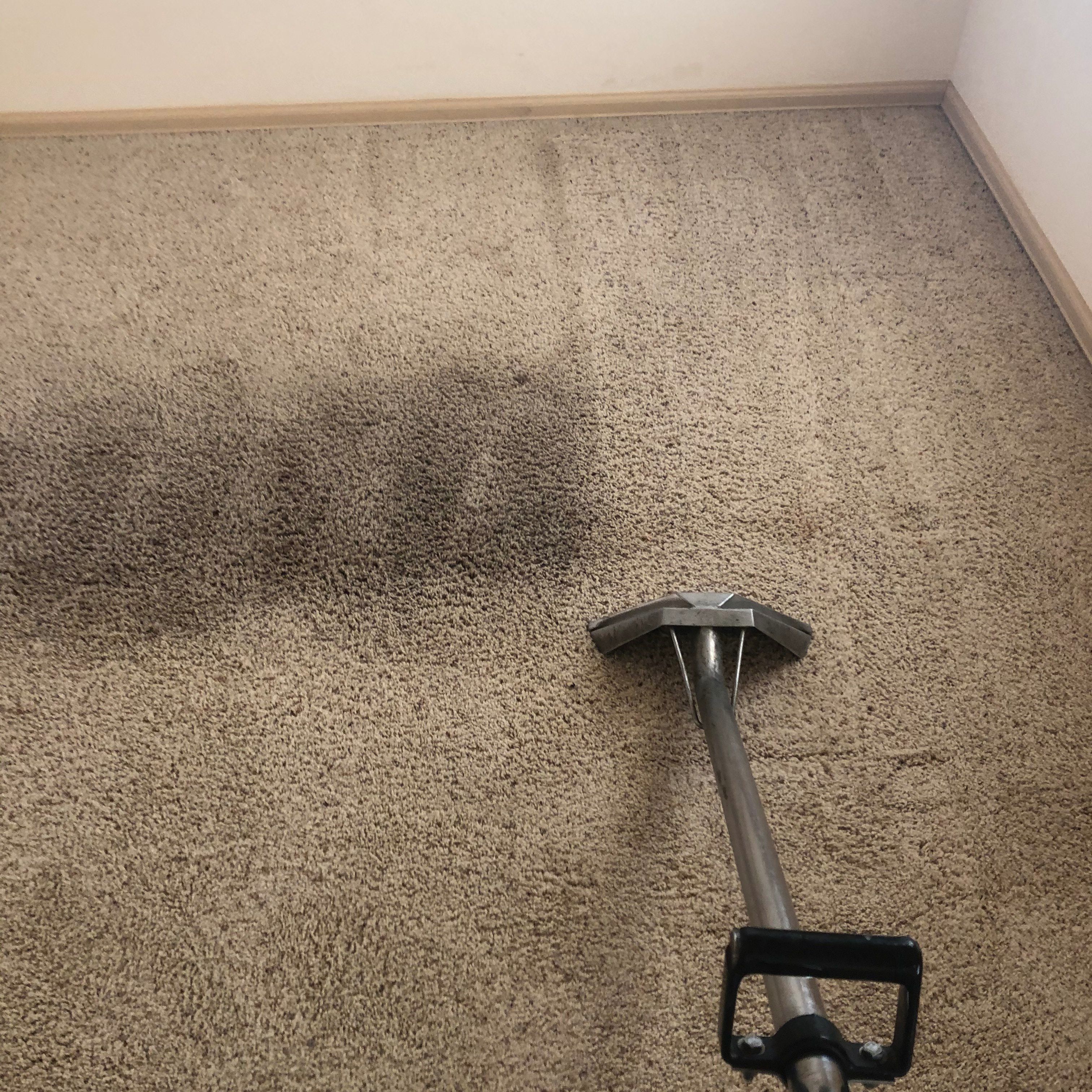 Carpet Cleaning in Delta, Colorado