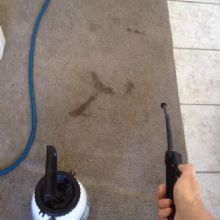 Residential Carpet Cleaning in Delta, Colorado