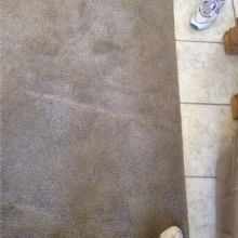 Commercial Carpet Cleaning in Delta, Colorado