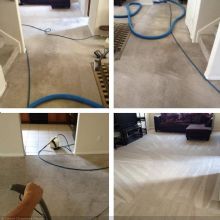 Carpet Spot Removal in Delta, Colorado
