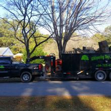 Tree Maintenance in Port Haywood, Virginia