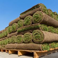 Sod Laying Services in Longmont, Colorado