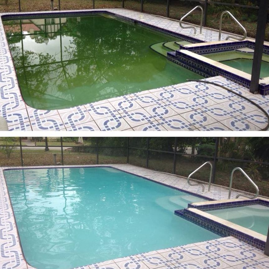 Swimming Pool Contractor in Naples, Florida