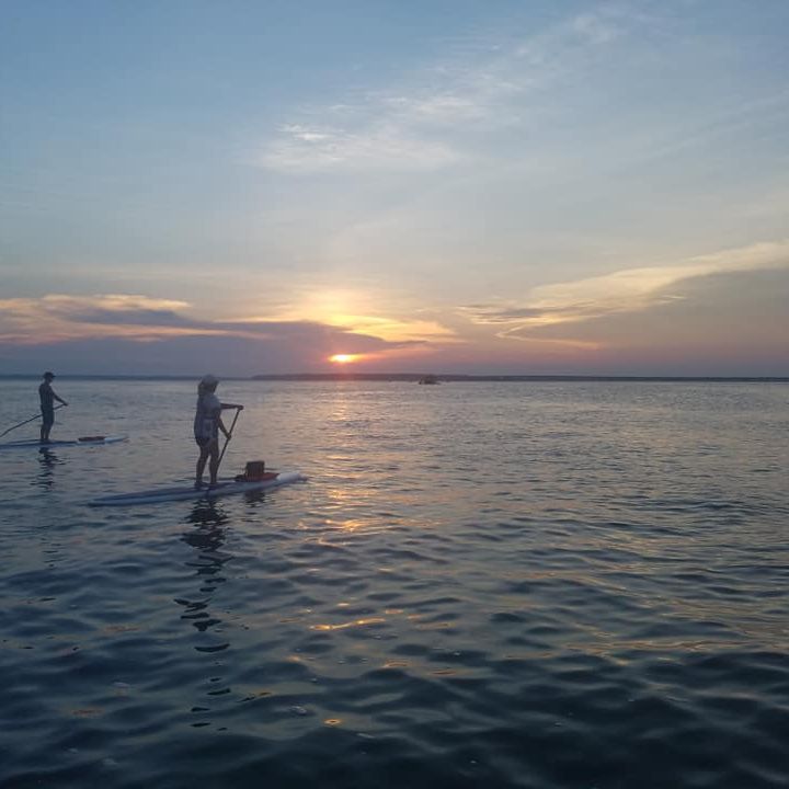 Stand Up Paddle Boards in Ocean City, Maryland