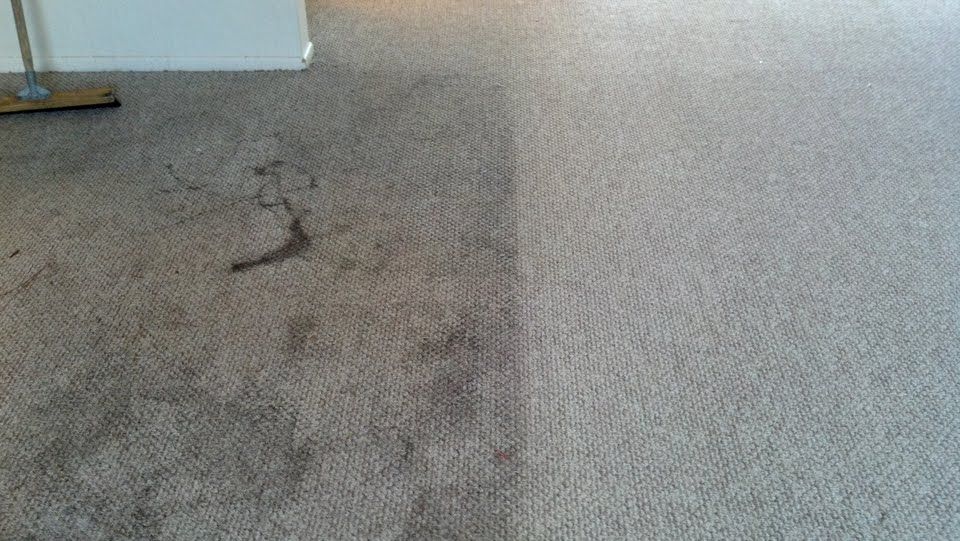 Commercial Carpet Cleaning in Tarpon Springs, Florida