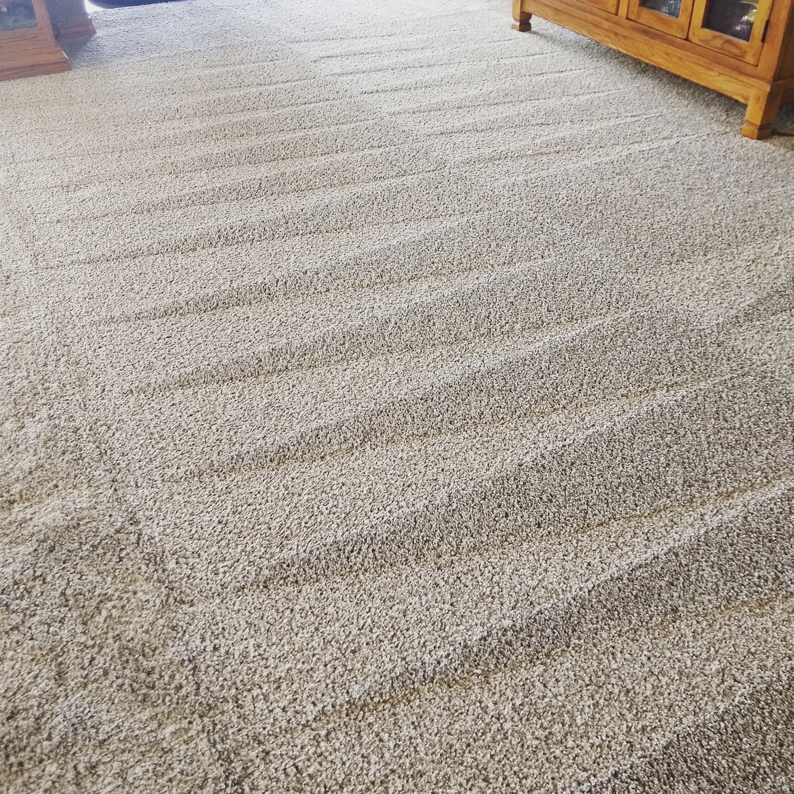 Residential Carpet Cleaning in Morris, Minnesota