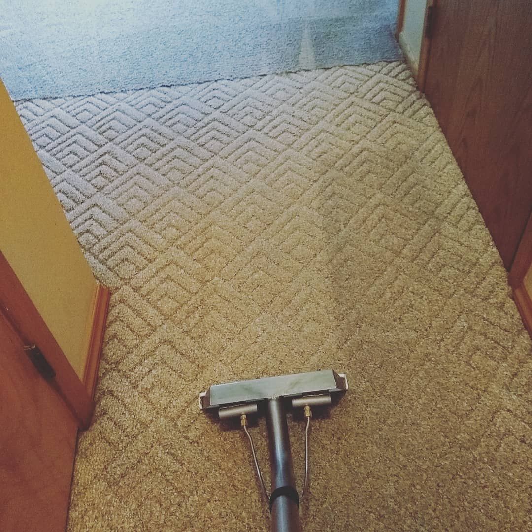 Commercial Carpet Cleaning in Morris, Minnesota