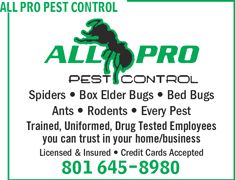 Box Elder Pest Control in Layton, Utah