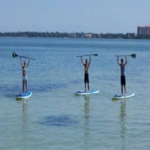Paddle Boarding in Sarasota, Florida