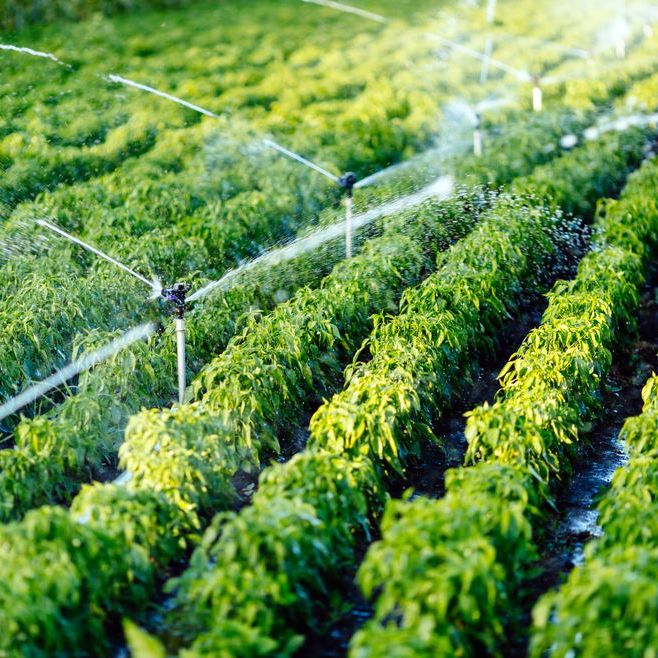 Lawn Irrigation in Ellenton, Florida