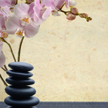 Massage Therapy in Milpitas, CA