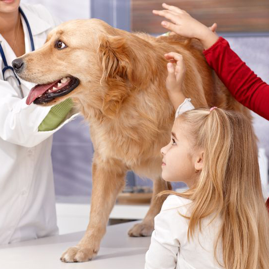 Mobile Veterinarians in Meridian, Idaho