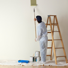 Licensed Painting Contractor in New Port Richey, Florida