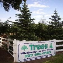 TreeFarm in Denver, CO