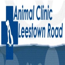 Animal Clinic Leestown Road Photo