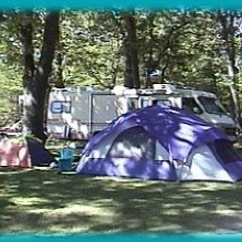 Insta-Launch Campground & Marina, LLC Photo