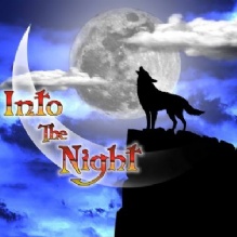 Into The Night Photo