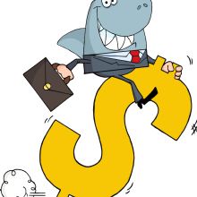 The Tax Shark Photo