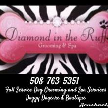 Diamond in the RUFF Grooming Spa Daycare & Training Photo