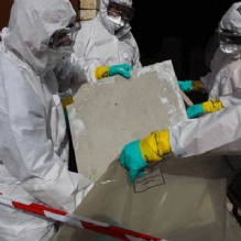 Asbestos Inspection Inc Photo