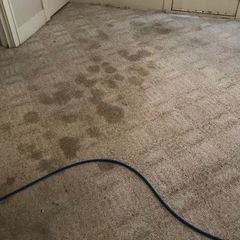 Sears Carpet Cleaning & Air Duct Cleaning Photo