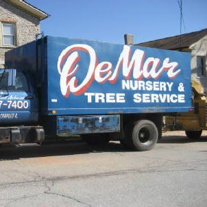 DeMar Tree & Landscaping Service Photo