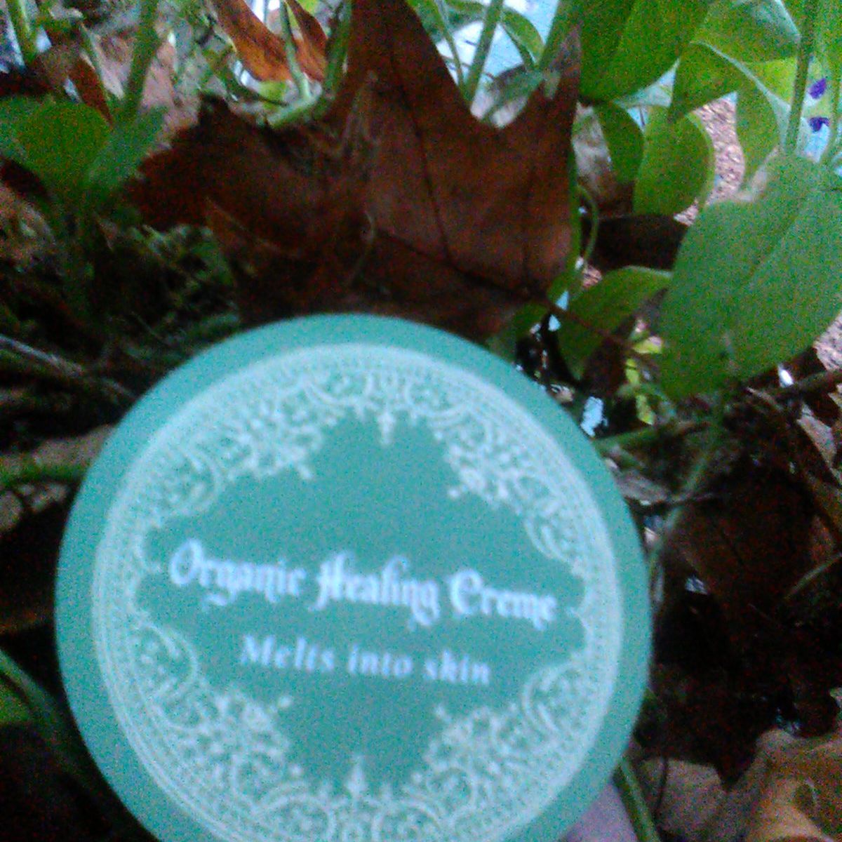 Naturally Healing Skin Care Products LLC Photo