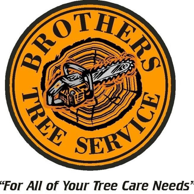 Brothers Tree Service Photo