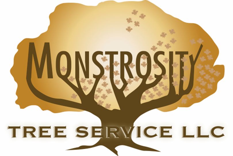 Monstrosity Tree Service LLC Photo