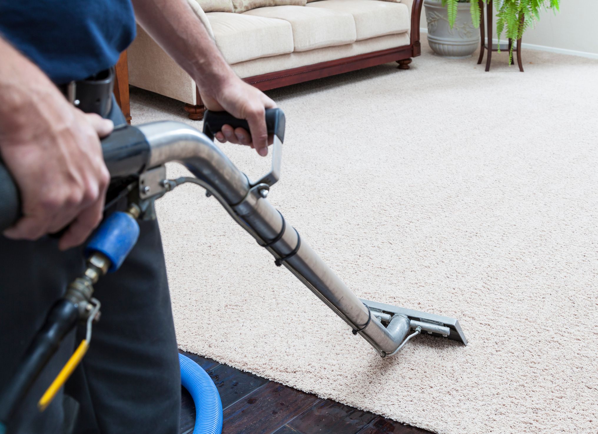 AAHS Carpet & Upholstery Cleaning Photo