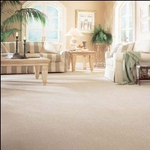 Whole House Carpet Cleaning Photo