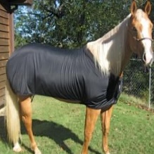 Horse Blankets in Subiaco, Arkansas