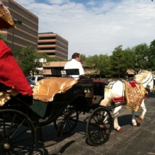Horse Rides in Kansas City, Missouri