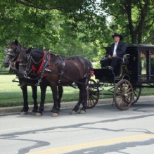 Wedding Horse Carriage in Kansas City, Missouri