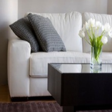 Upholstery Cleaning in San Clemente, California