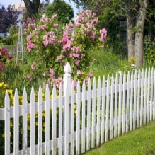 Fence Contractor in Cedar Grove, New Jersey