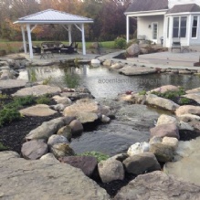 Ponds Repairs in Rochester, New York